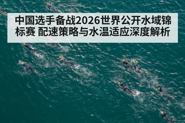 中国选手备战2026世界公开水域锦标赛 配速策略与水温适应深度解析
